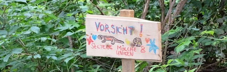 Unken_Molche_Vorschau_780_250